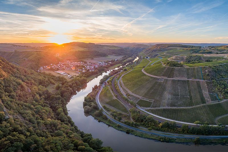 German 5 Producers Wine ＆ Buffet Party