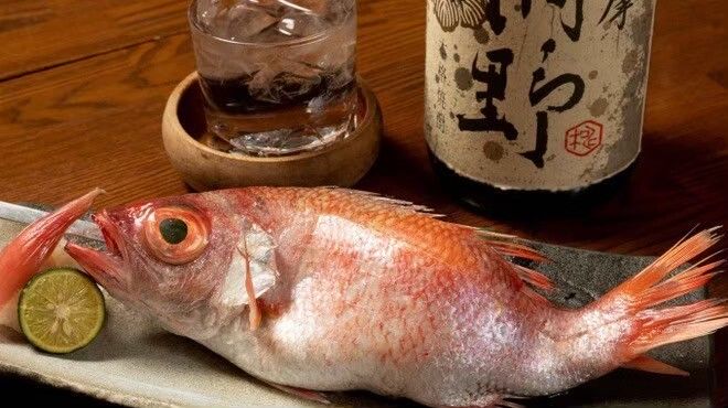 紅瞳のどぐろコース『椿』