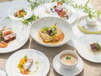 【着席コースプラン】コース料理（６品）＆乾杯ドリンク含むフリードリンク（2時間）