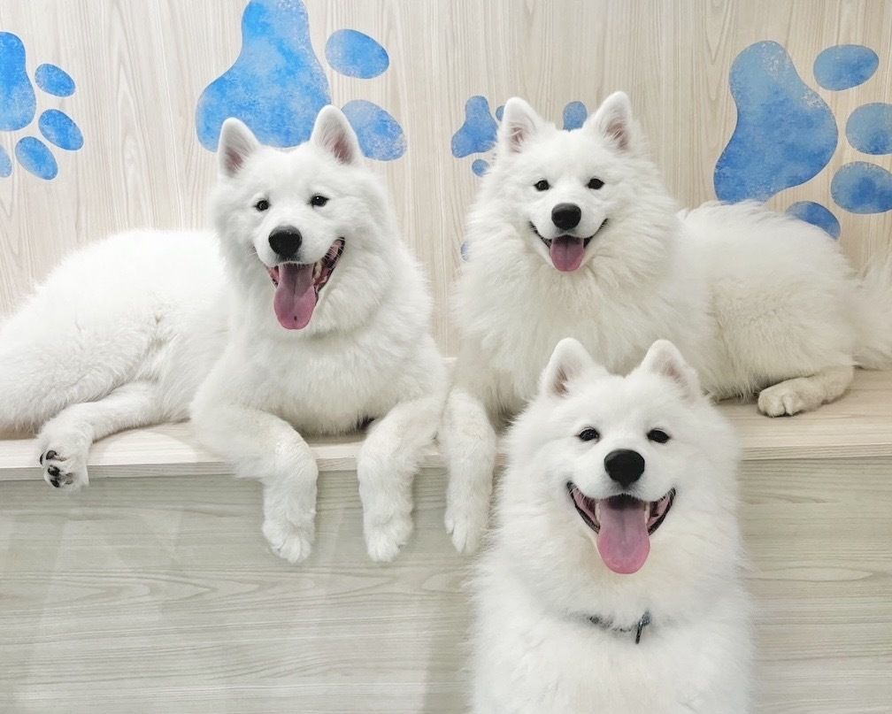 Weekends and Holidays: Regular ticket (50 minutes)