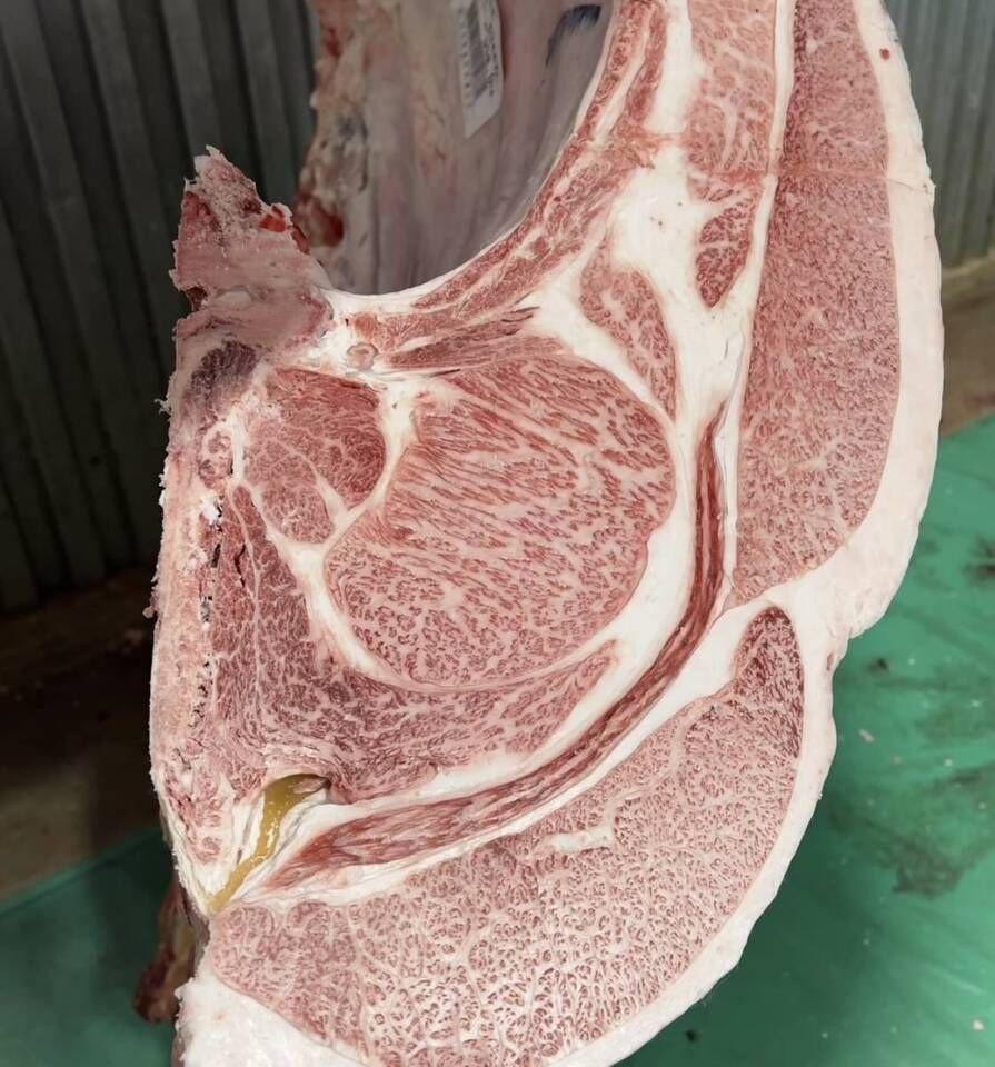 Gion Lunch Course Bistecca di controfiletto Wagyu Premium