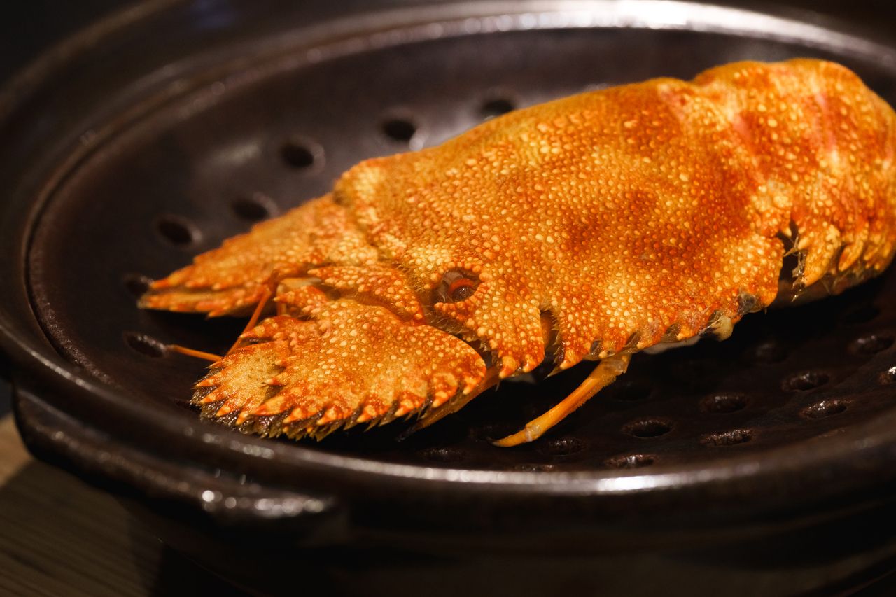 績　ーTUMUGIー　2025【プレミアムコース】