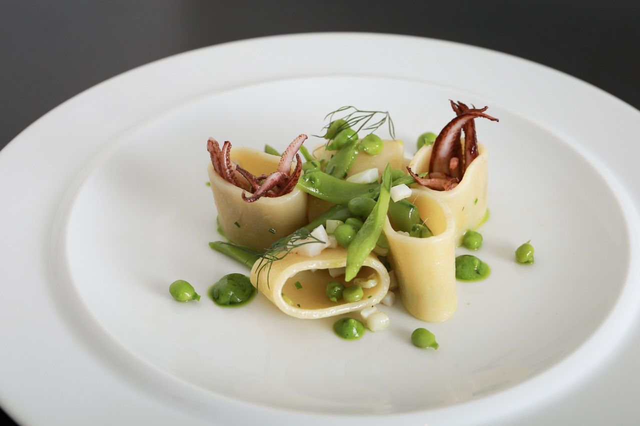 TRADIZIONE (6 plates)