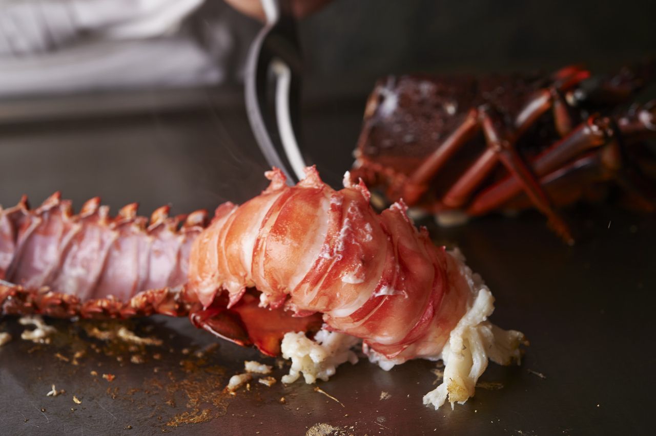 2025 Christmas Lunch B