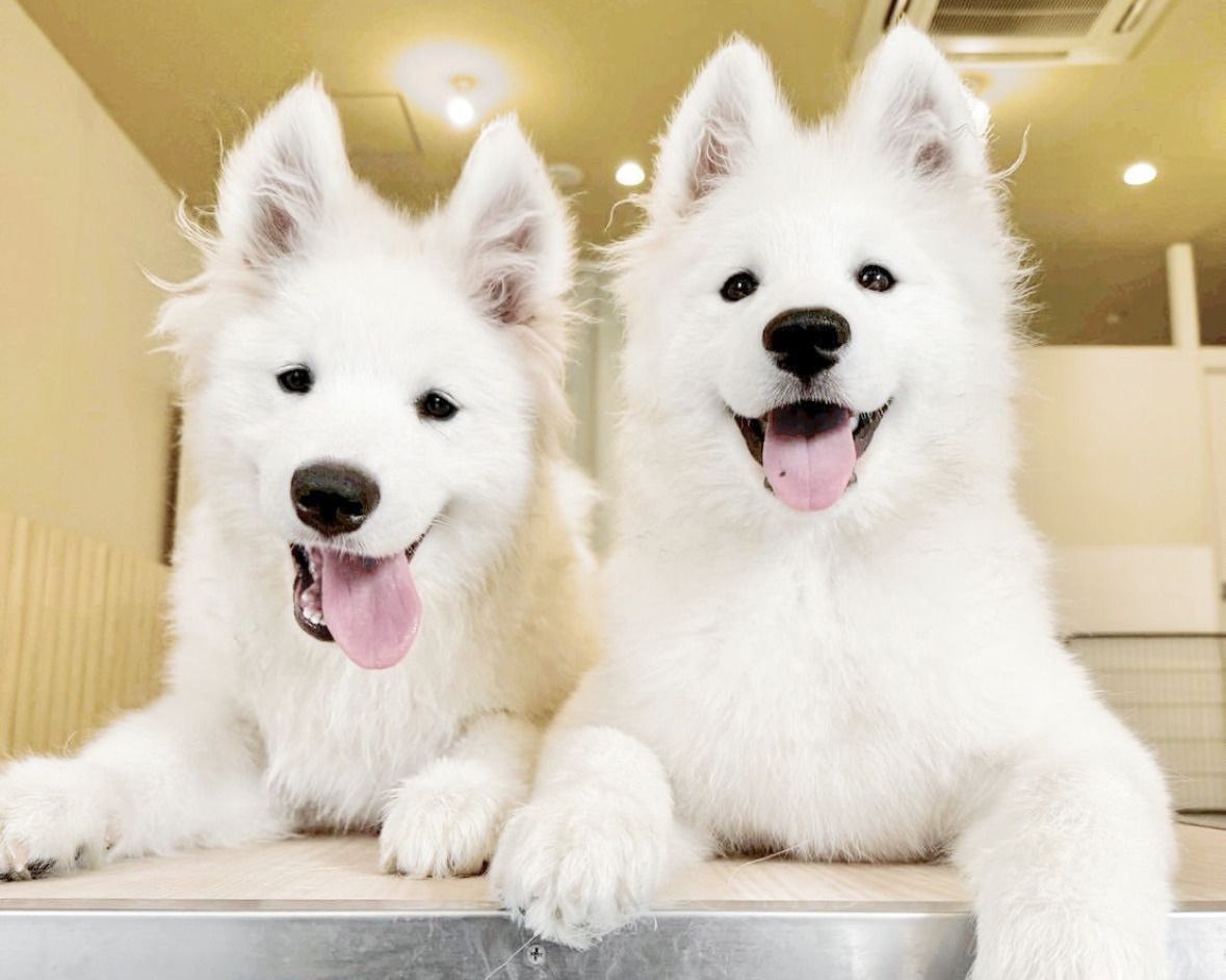  Regular ticket (50 minutes)