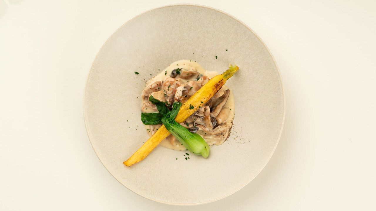 「森から島から」冬のごちそうランチコース