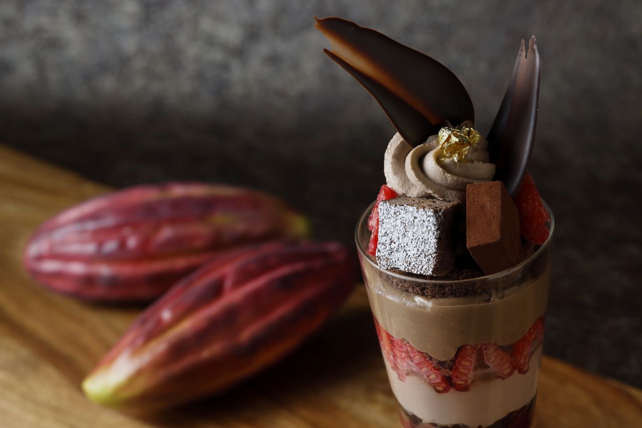 【One Harmony会員価格】「至福のチョコレートパフェ ～カカオとフランボワーズの余韻～」＜5-6月＞【限定10食】