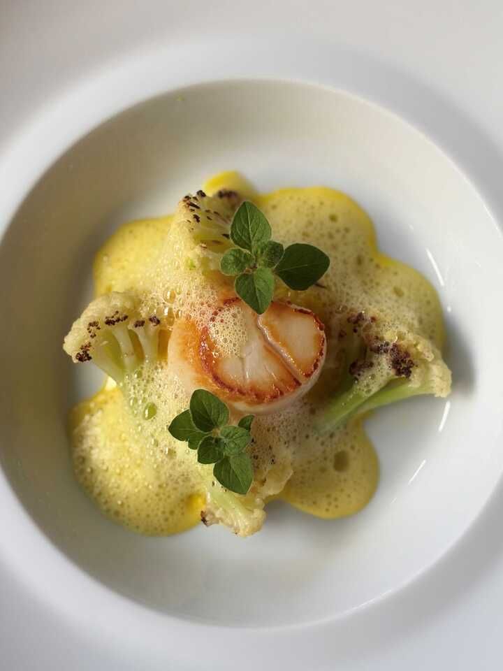 2026ランチ 8,000円（税サ別）