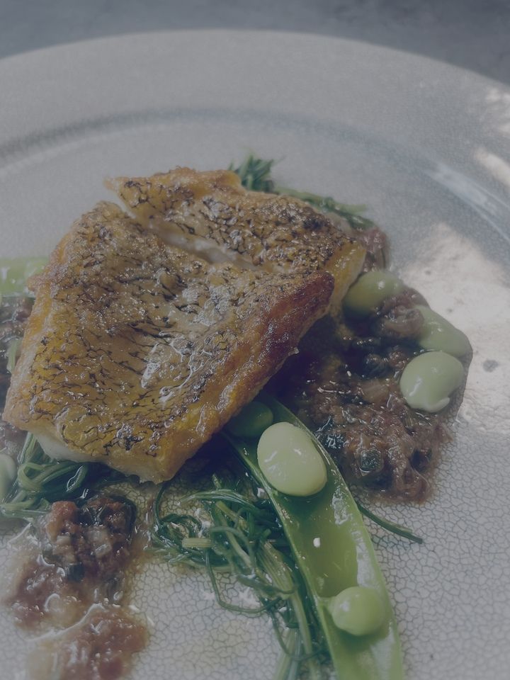 旬の食材スペシャルコース（焼きたてフォカッチャ付き）