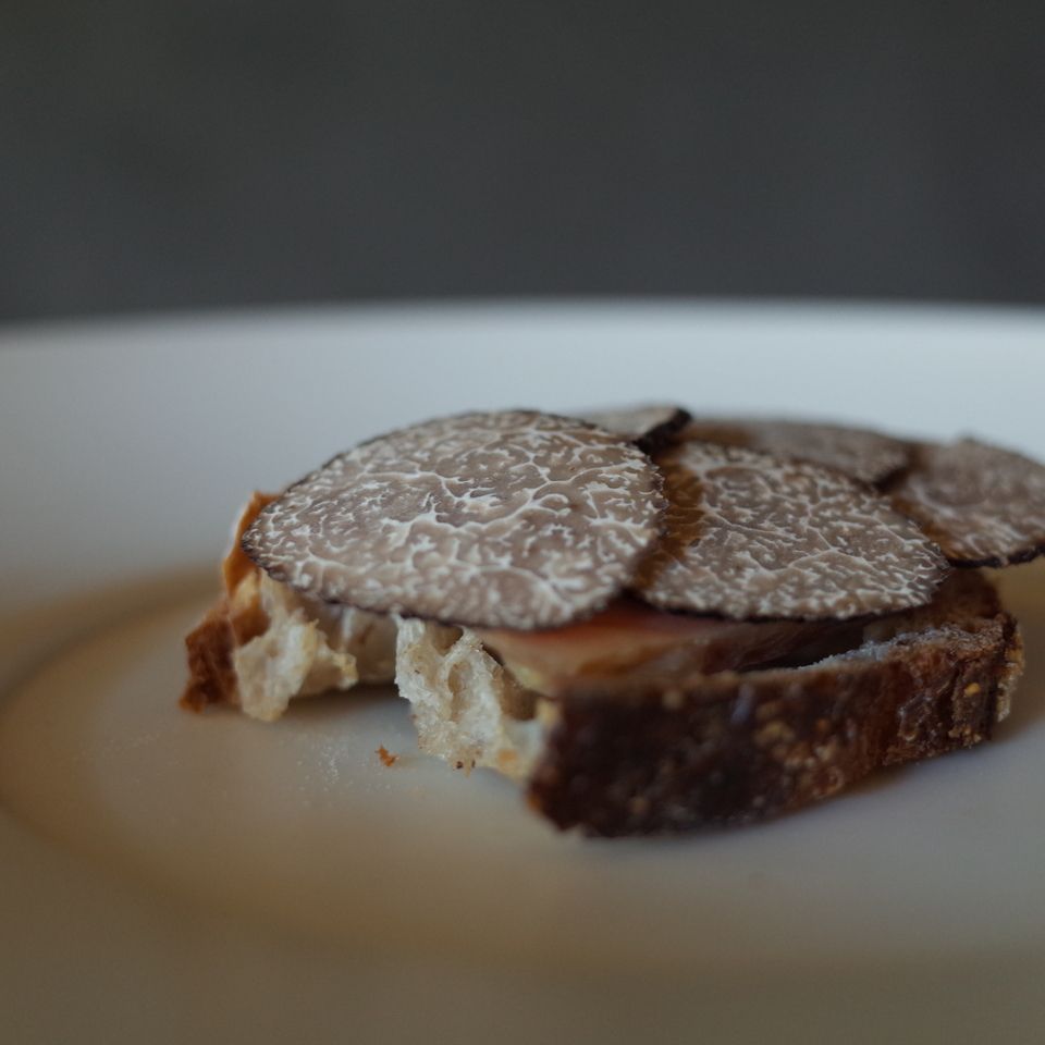 [Tokyo's Best Specialty Cuisine Restaurant Week 2026] Chef's Choice Dinner Course (8plats)