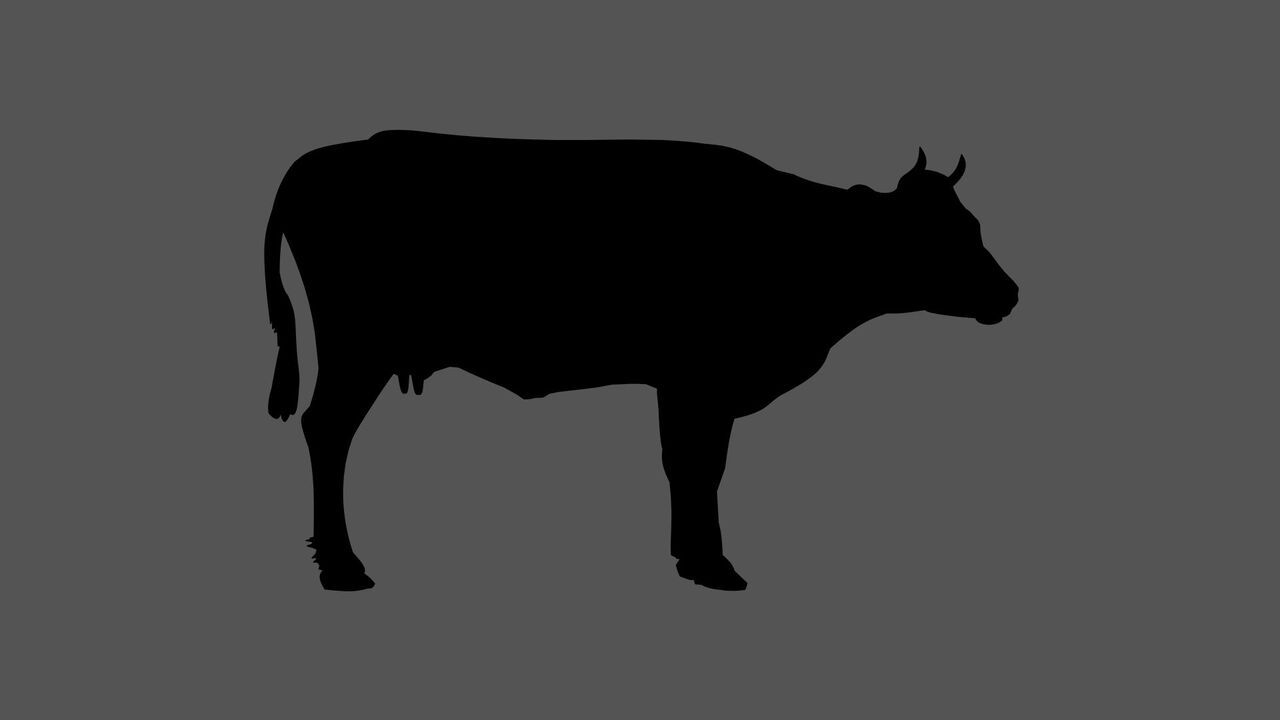 【上質食べ放題】 