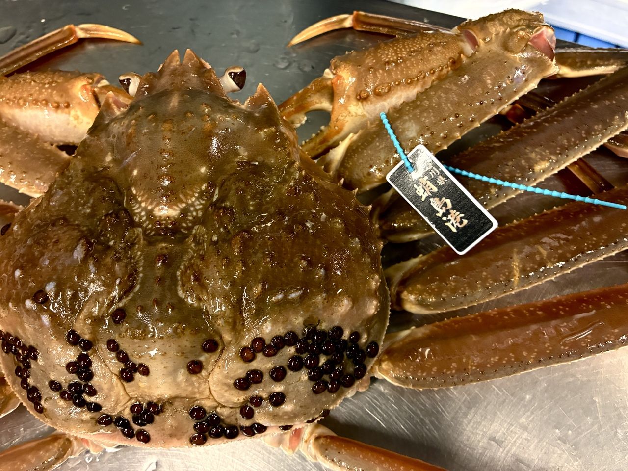 金泽豪华菅野蟹博览会 1/9~2/5