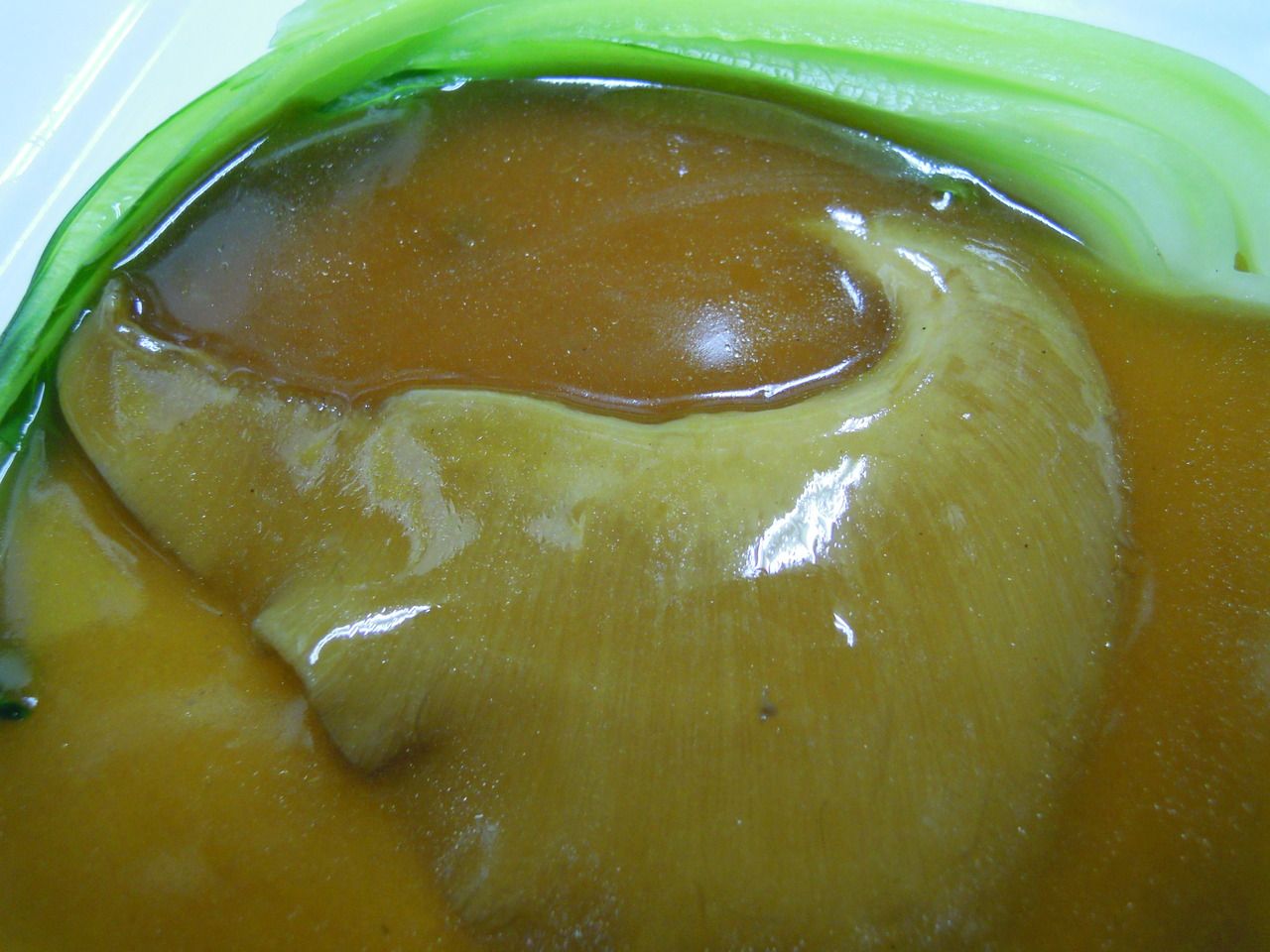 【今晚】特别晚餐套餐——为重要场合准备的特别佳肴