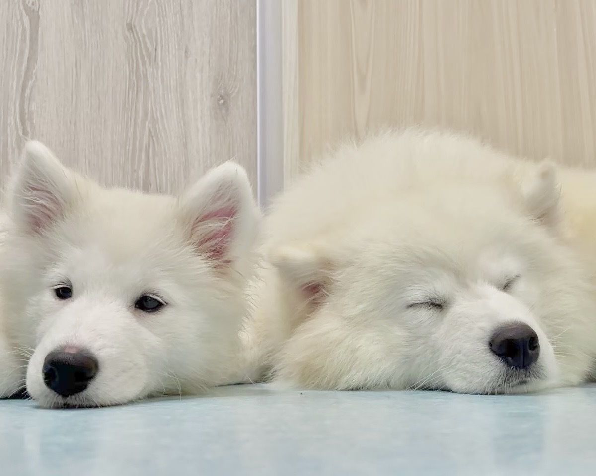 Weekdays: Standard ticket (50 minutes)