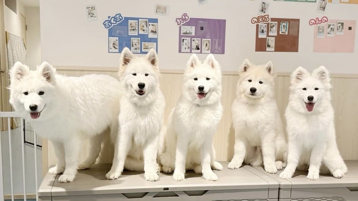 4/1～≪土日祝≫通常チケット（50分）