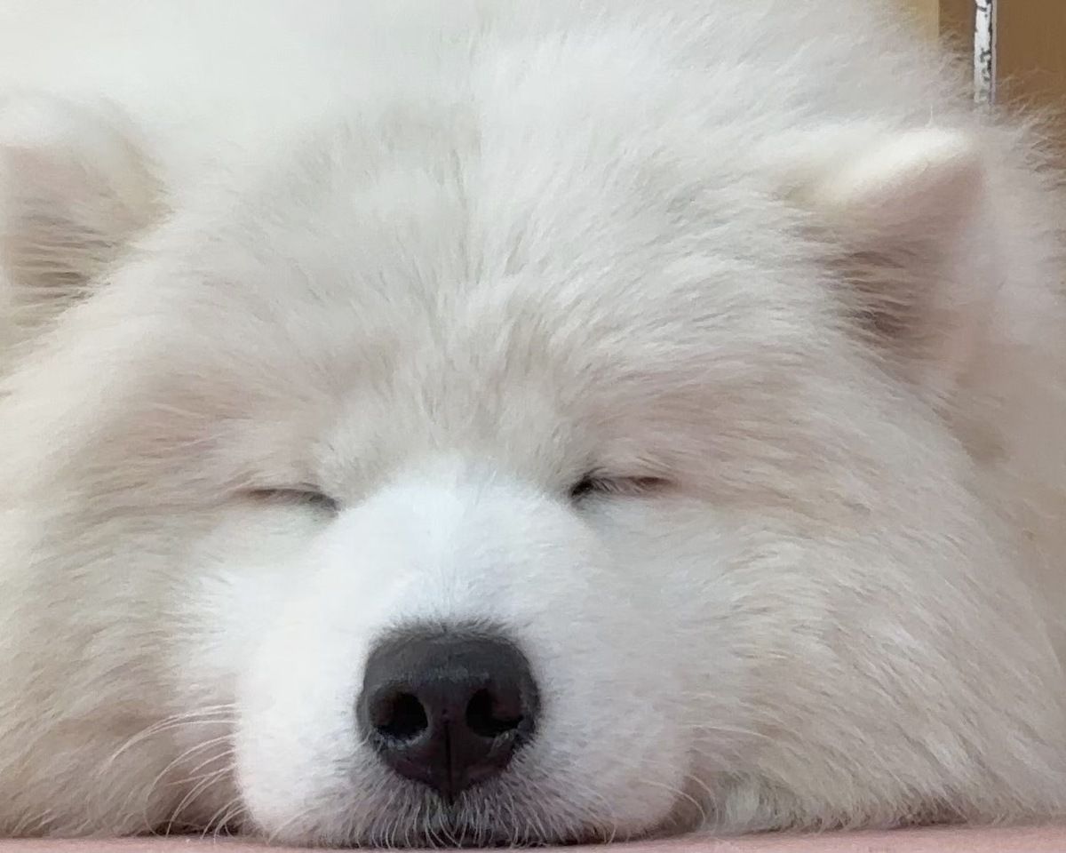 4/1～≪土日祝≫通常チケット（50分）