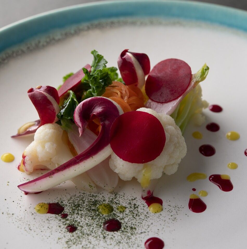 Menu Gastoronomy Vegetarian / Vegan