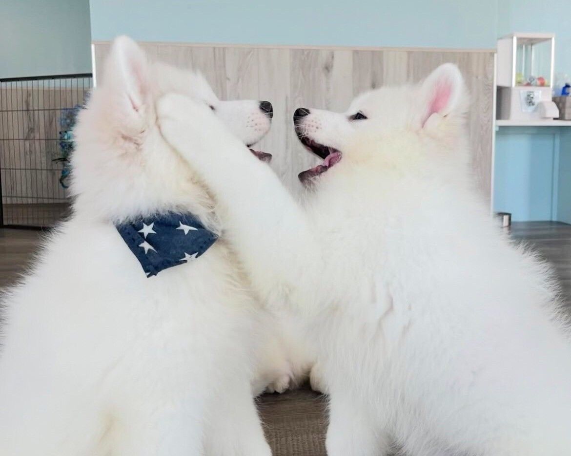 ≪Golden Week Period≫ Regular Ticket (50 minutes)