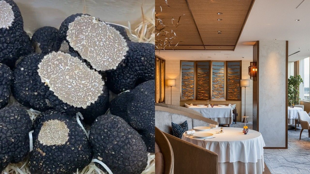 【6/6-6/21 한정】Dîner spécial à la Truffe