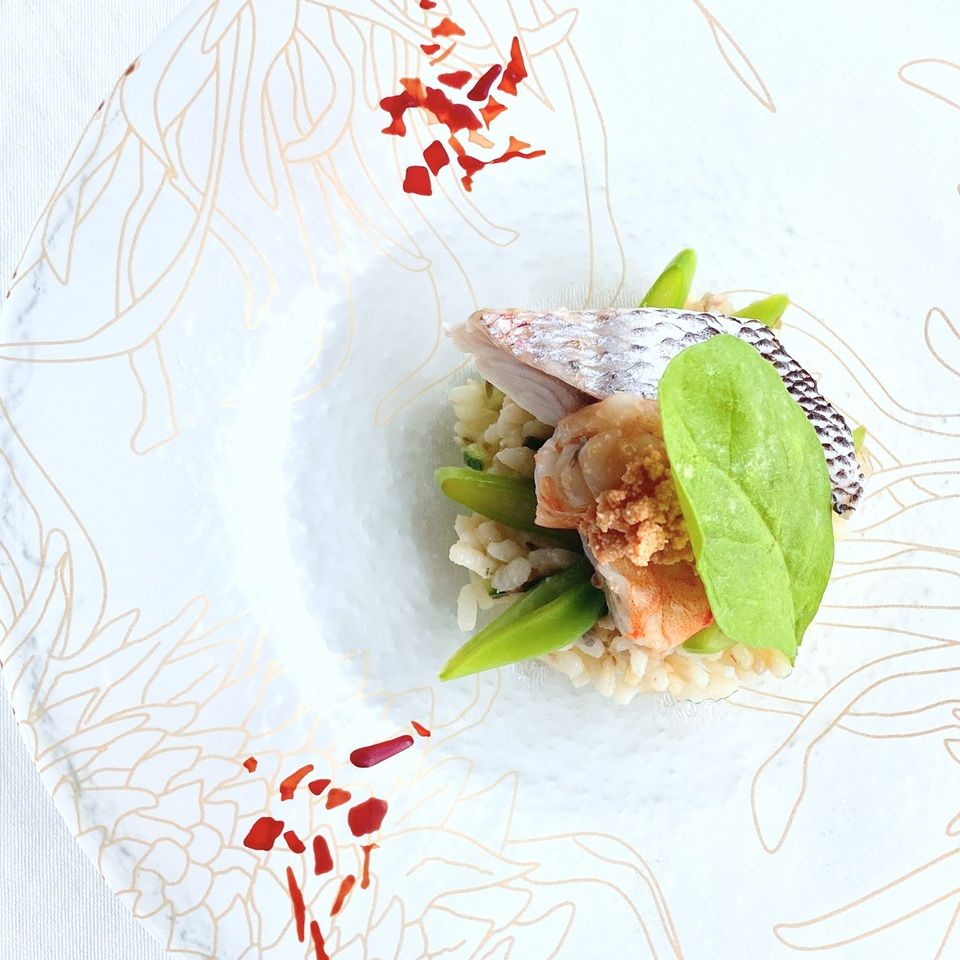 July–August Limited / Lunch Time ’Cool Summer Short Course’