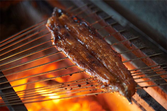 【Japanese Lake Biwa eel course】