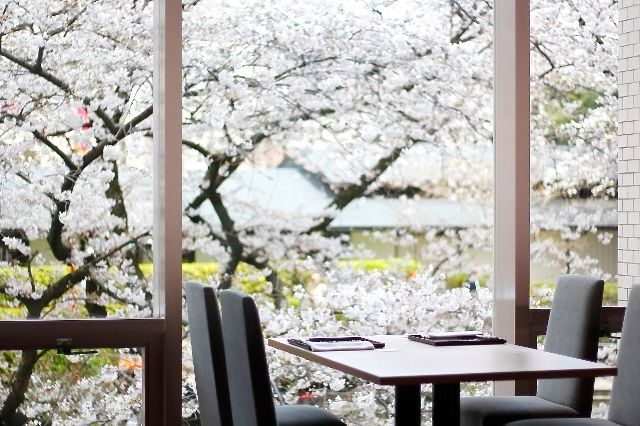 懐石　桐(花見席)