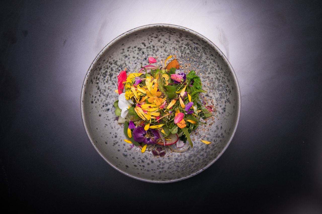 クリスマス特別コース