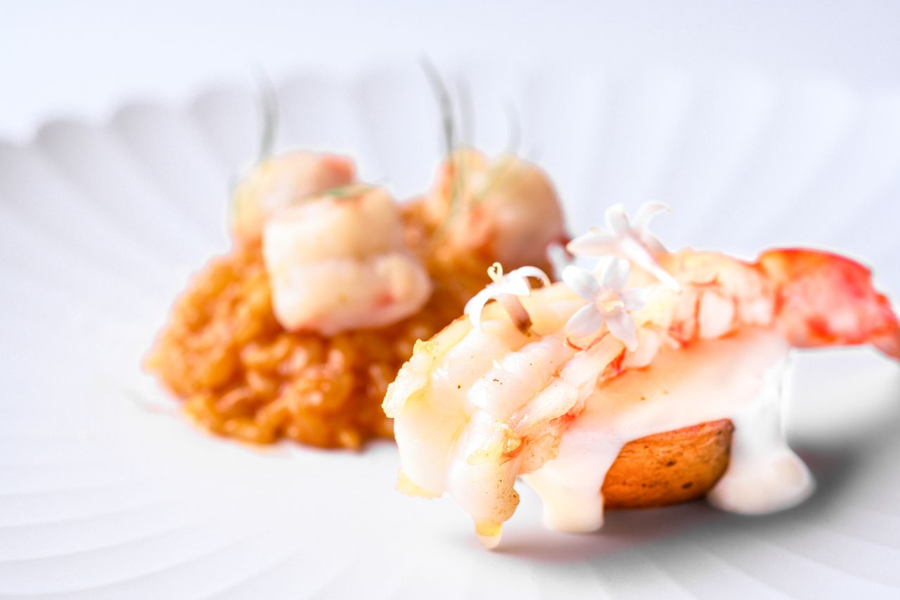 【Chef's Special】創作料理 贅沢8品コース