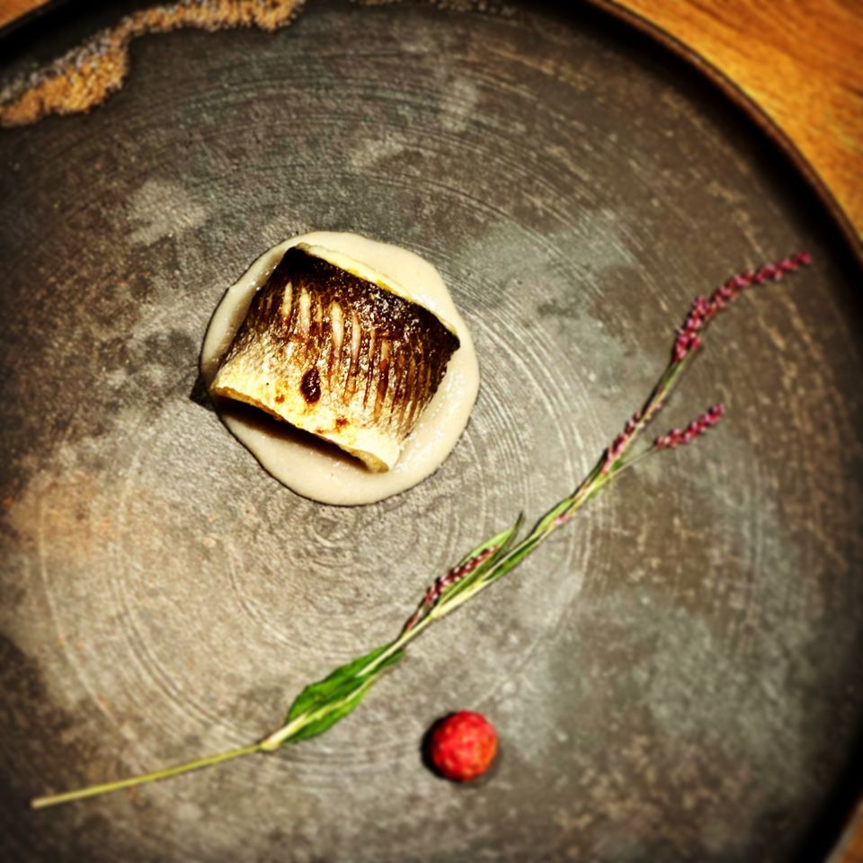 【おまかせコース】先付け、お造り盛合わせ、煮物、焼物、揚物、土鍋ご飯など 約8品