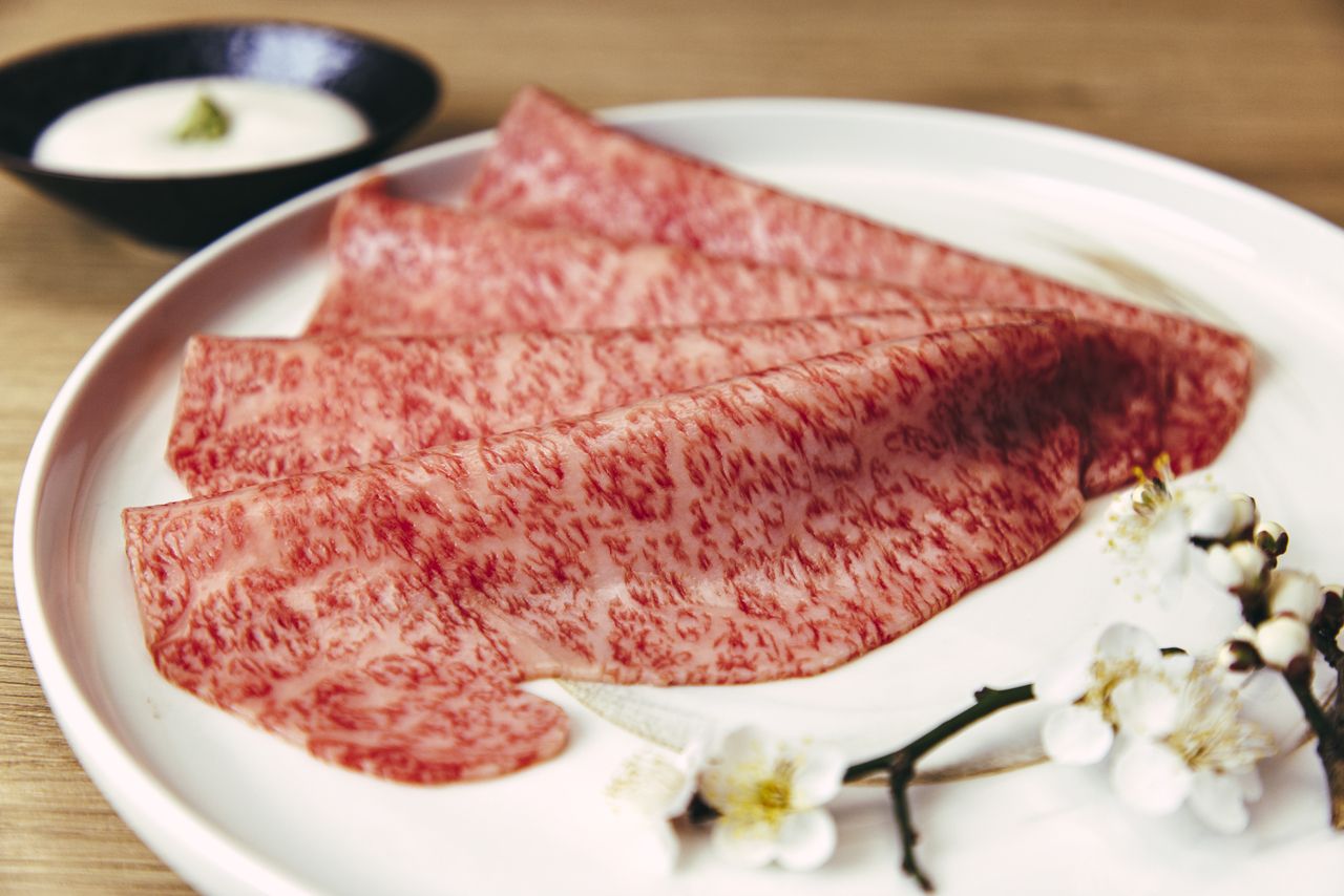 季節コース