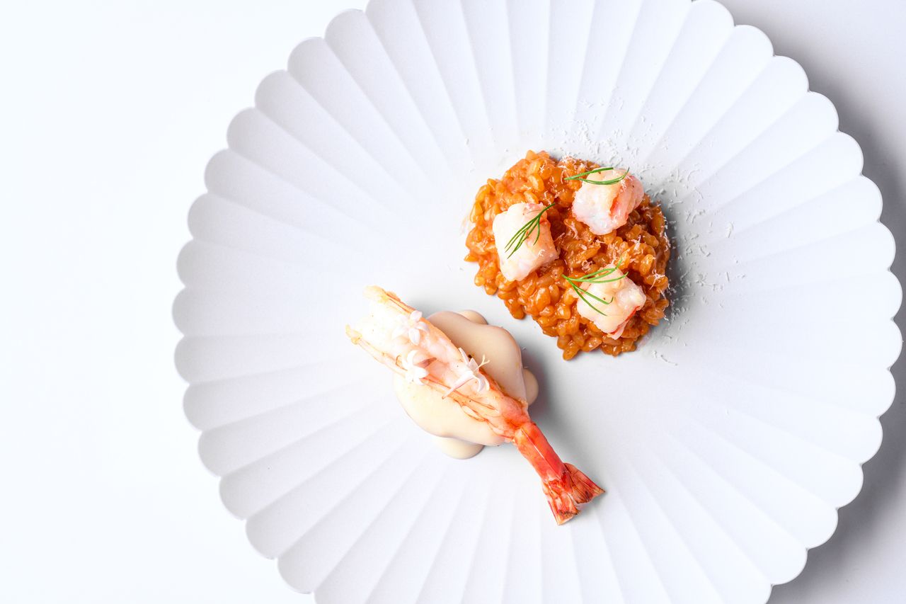 [دورة شانفي المصغرة] للشيف تاكيا / 5 أطباق وحلويات