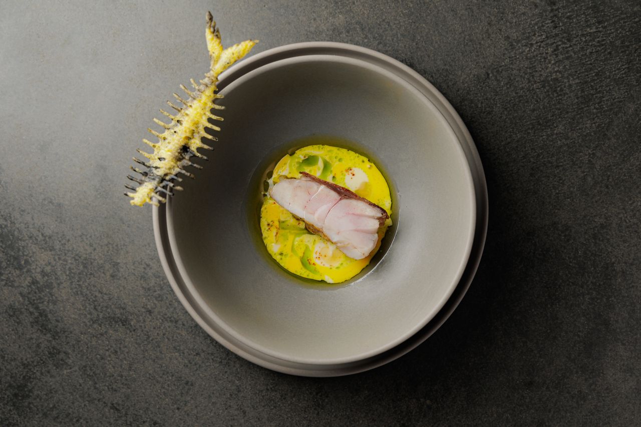 《おまかせコース 》