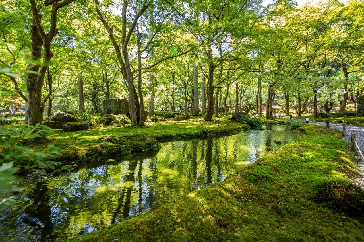 [Including Shozan Garden Ticket] Afternoon Tea 