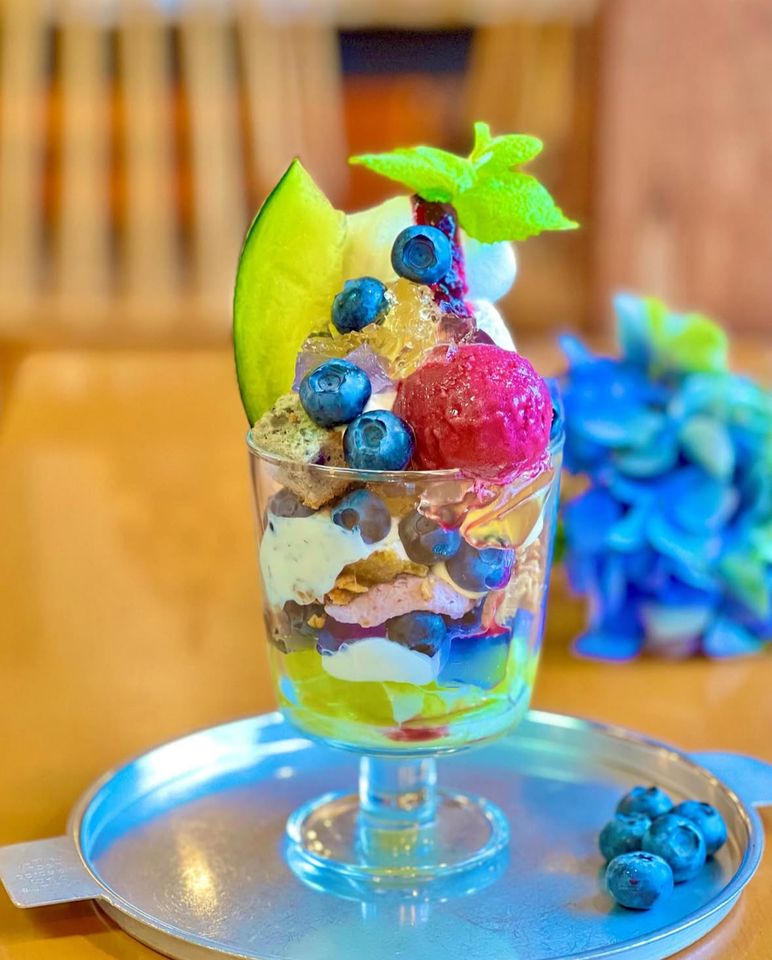 农场新鲜采摘的蓝莓冻糕（特殊尺寸）