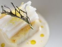 ランチコース 全8品