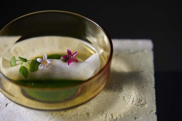 프란조 “런치코스”