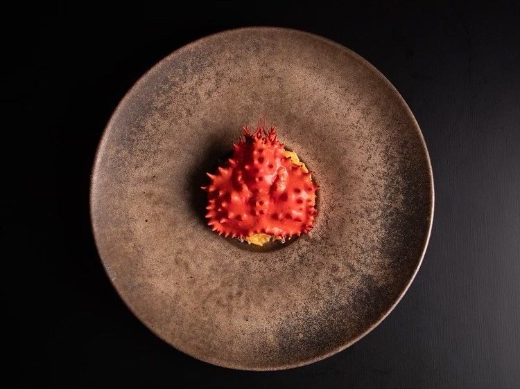 Full course 8 dishes