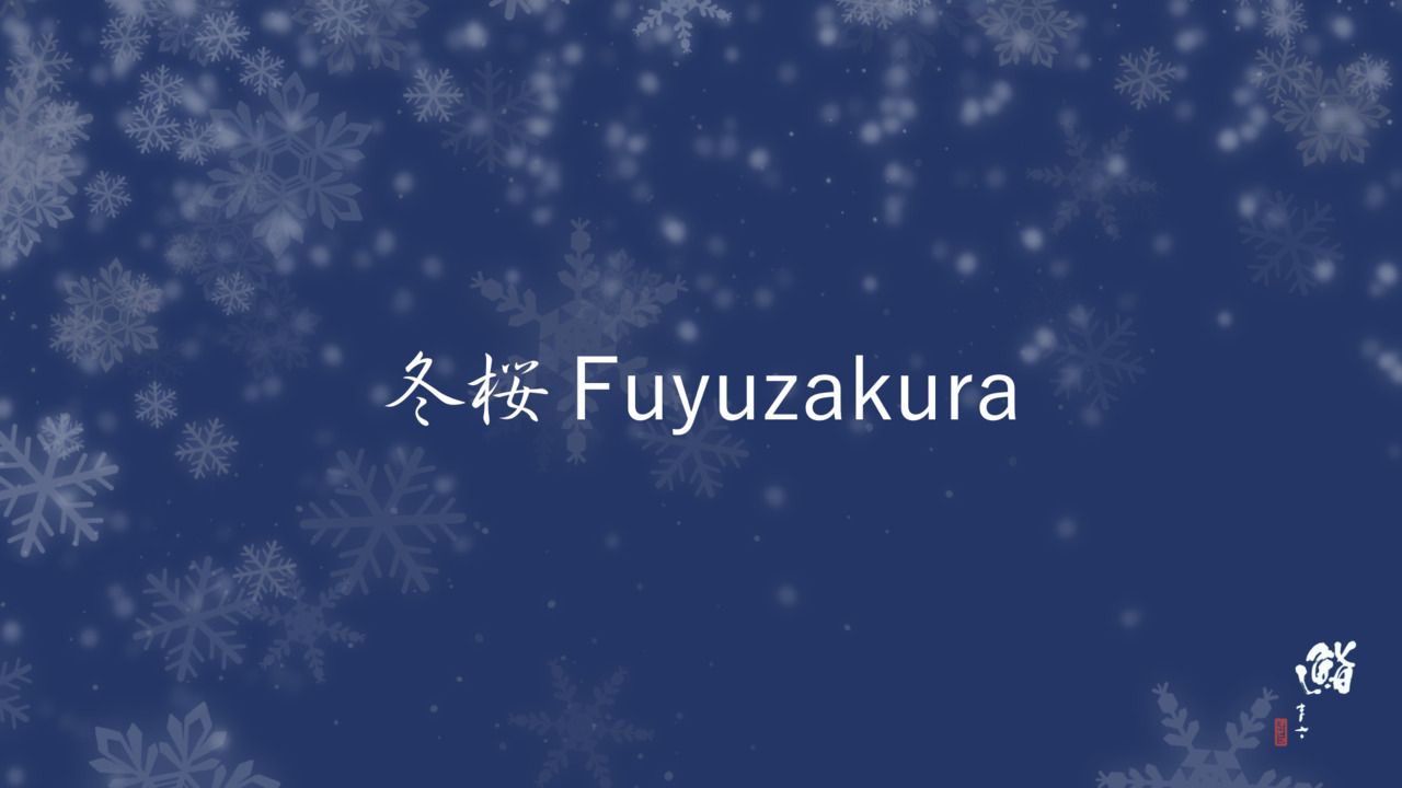冬桜 Fuyuzakura