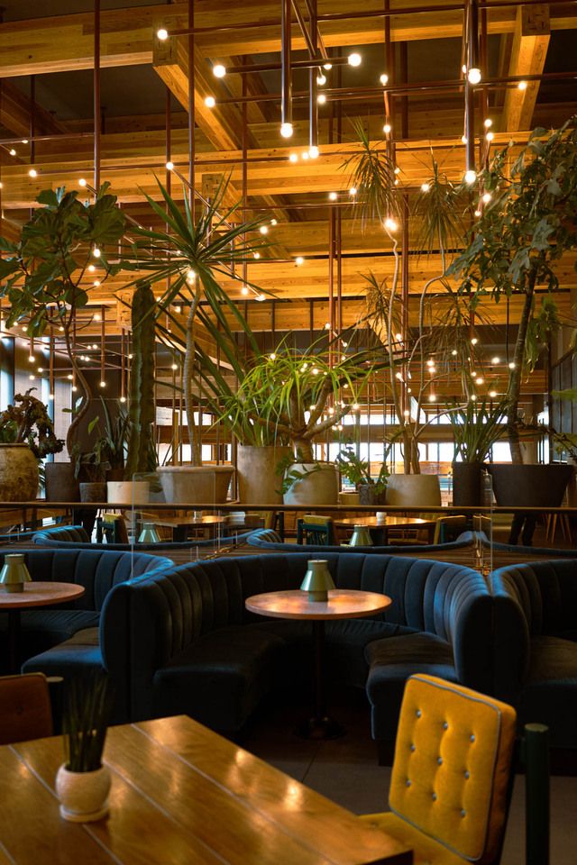 แผนแชมเปญไม่จำกัดจำนวนในวันที่ 31 ธันวาคม