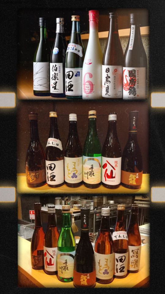 藤木コース+飲み放題