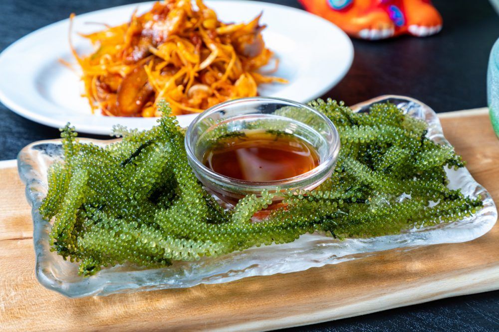 ベイシックコース