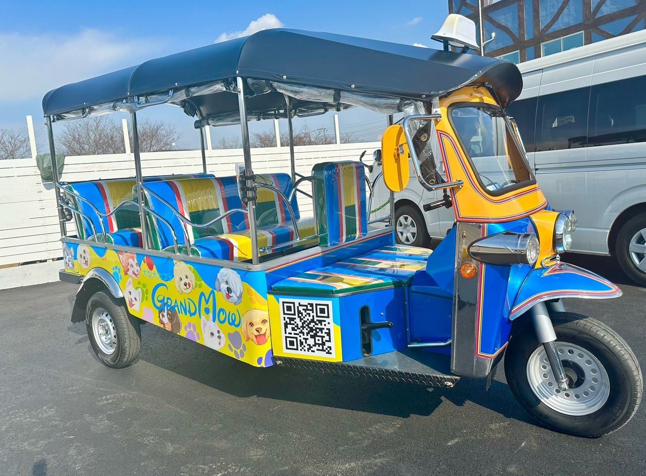 [Weekdays/Tuk-Tuk Pick-up] Party Buffet & Interaction Plan