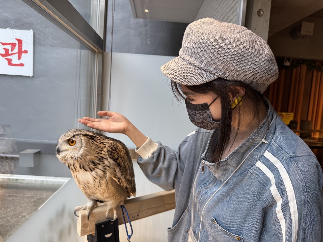 【大人】 触れ合いのみ＋１ドリンク込み