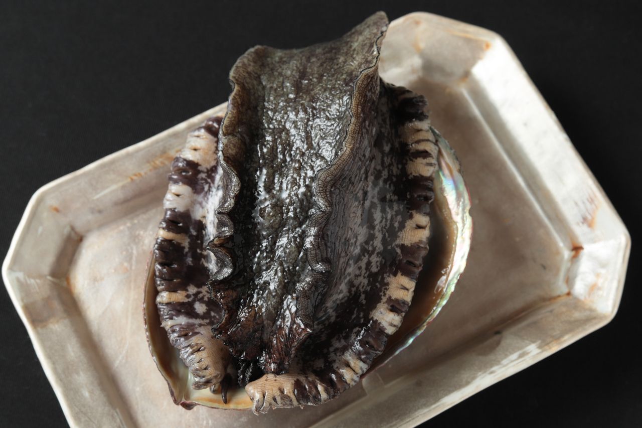 [Chef's Special Course]