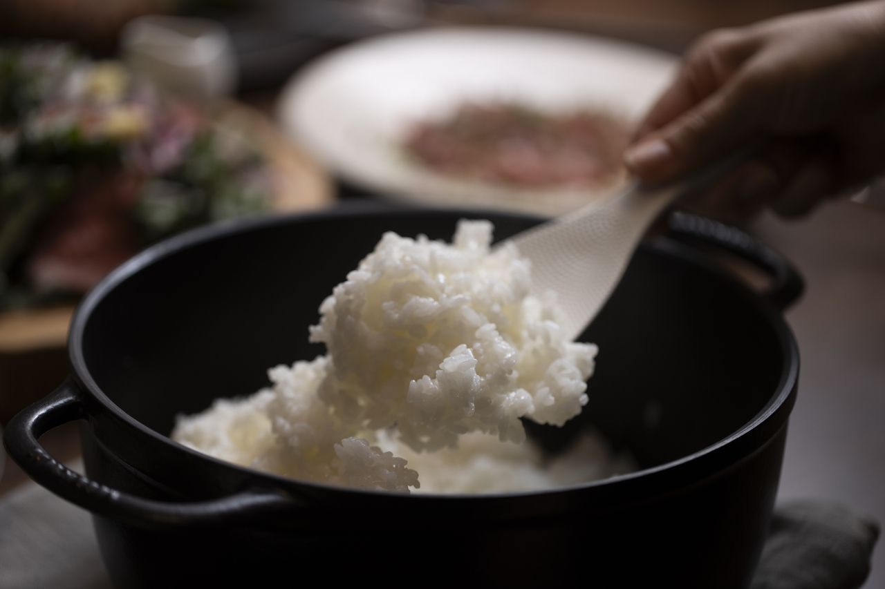 ランチコース【炊き立て白米食べ放題】