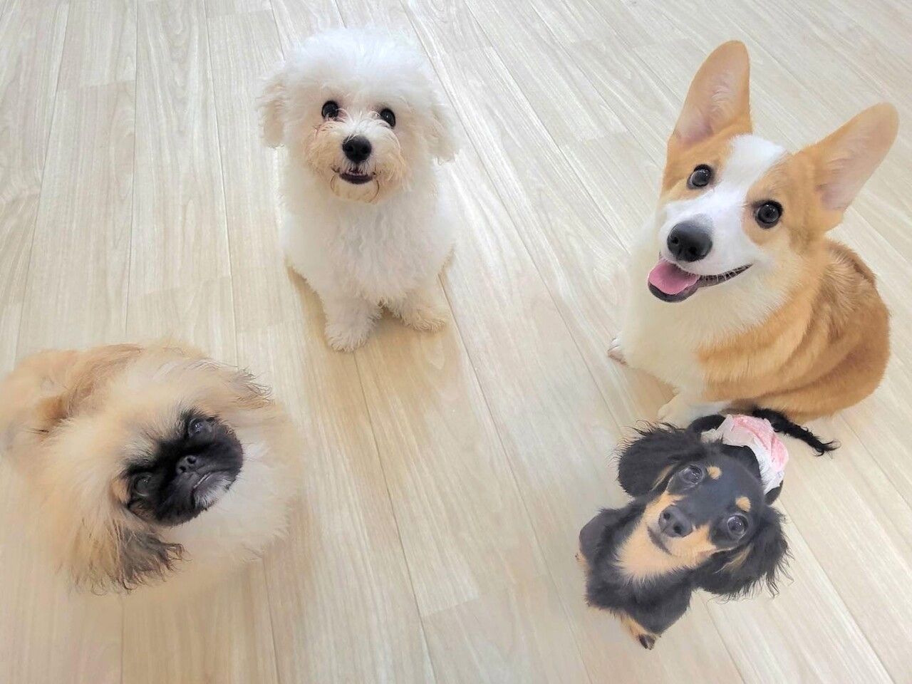 [Saturday] Mofumamire Private Course (60 minutes)