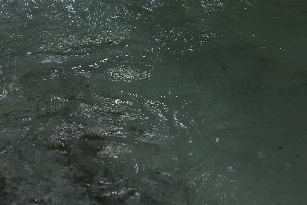 Tasting Course-Non alcohol Pairing