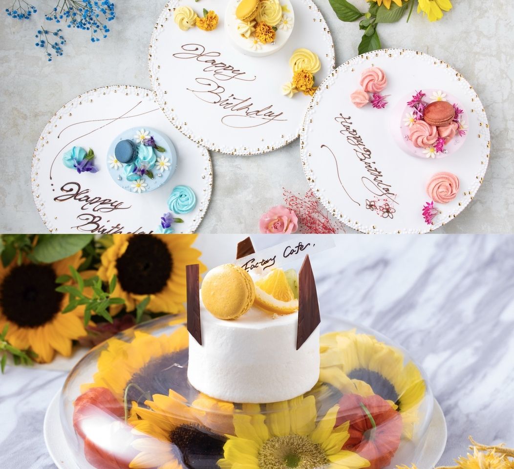 [CK Plan {7 items in total}] Premium anniversary plan with a choice of cake (please leave a message in the request field) *+300 yen on weekends