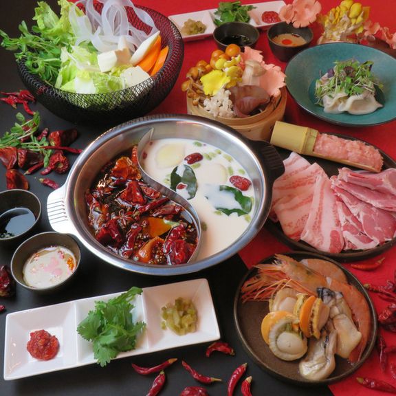 飲み放題付き！【ディナーご予約限定！！】２種類のスープを楽しめる発酵薬膳火鍋コース