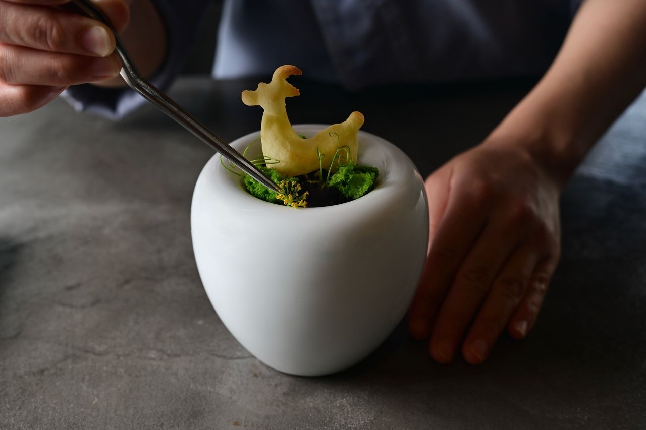 日・月・火限定！ランチコース